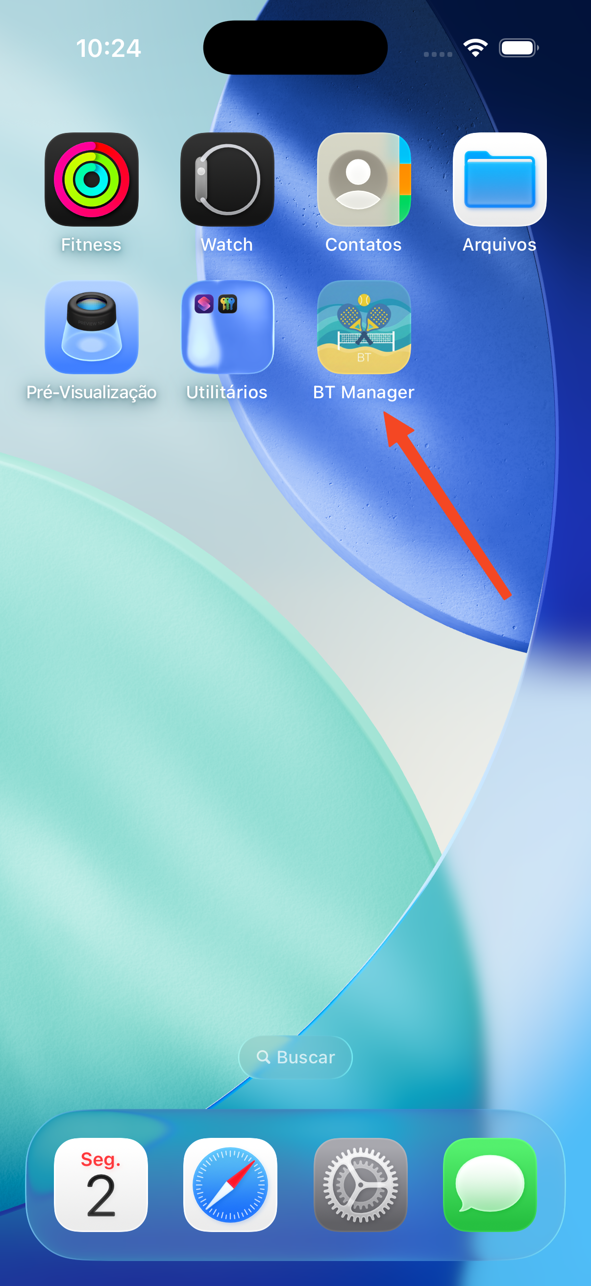 Passo 6: Ícone na tela inicial